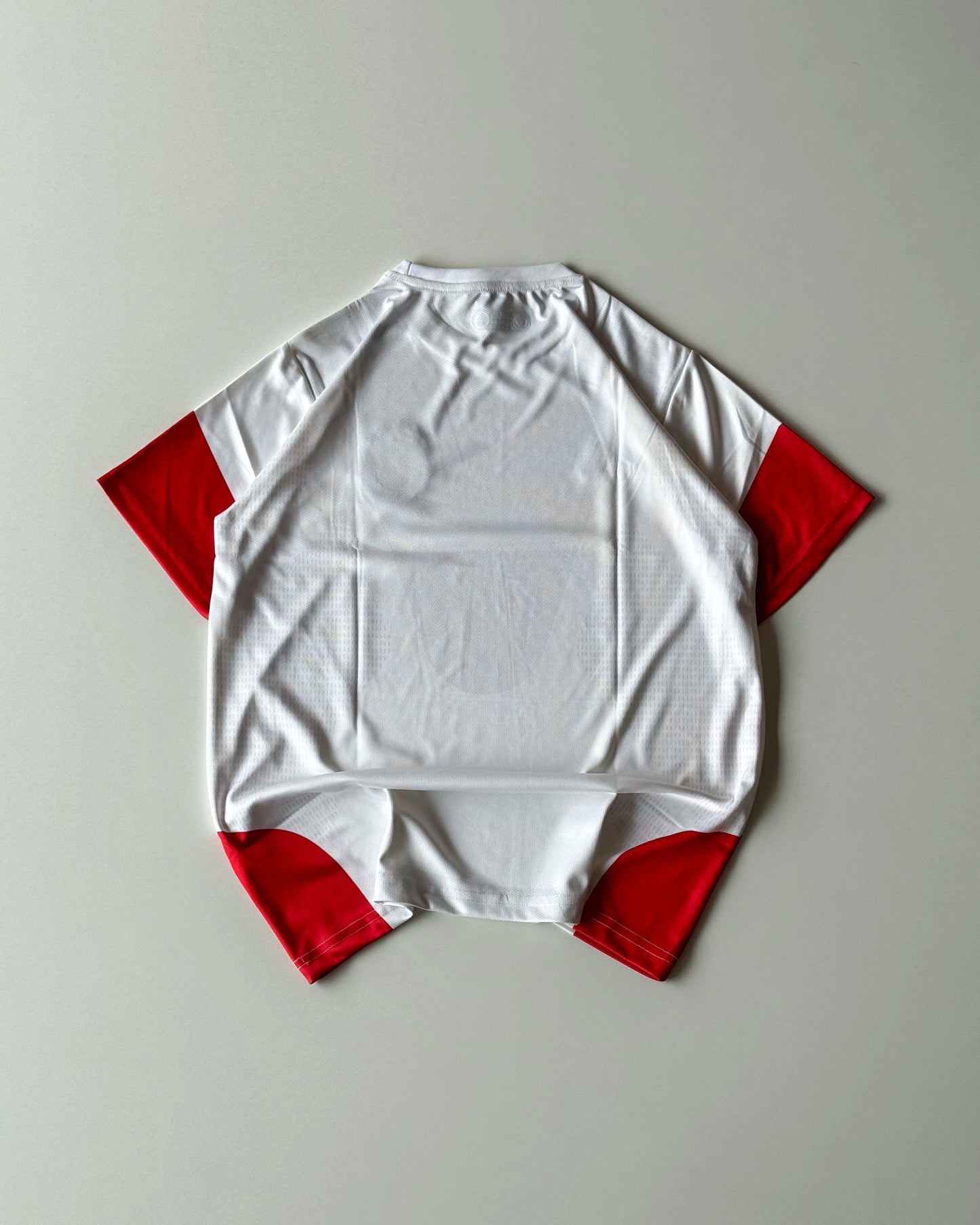 GERMANY PLAIN HOME KIT (embroidery)